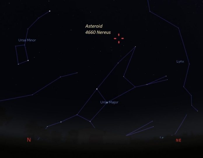 Location of Asteroid Nereus among Ursa Minor, Lynx and Ursa Major Constellations