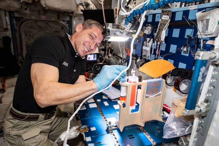 NASA’s plant-growing technology could be used to produce food at military bases_62333285a6b3a.jpeg