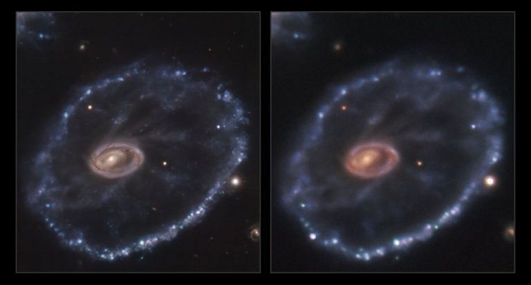 New supernova identified in the weird Cartwheel galaxy_622f3f6b721c8.jpeg