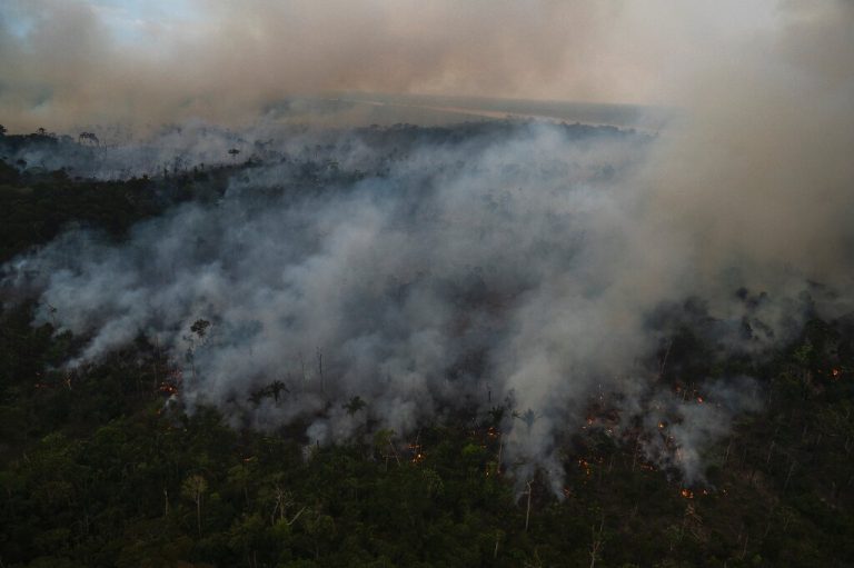 Record deforestation in Brazilian Amazon in February_622f3f37bb032.jpeg