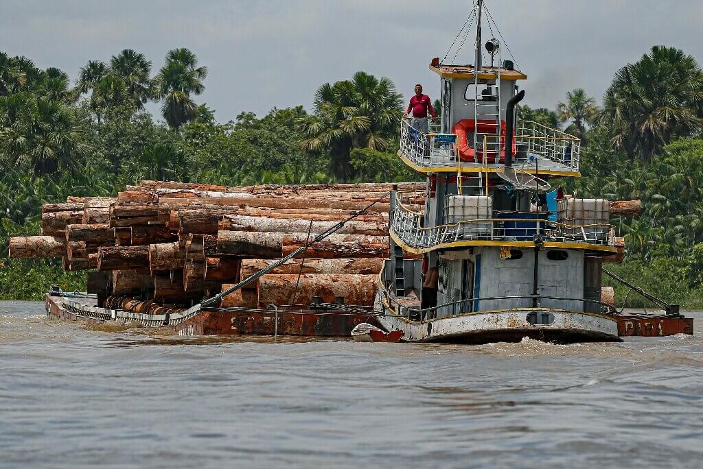 Record 1st-quarter deforestation in Brazilian Amazon_62557ba47e354.jpeg