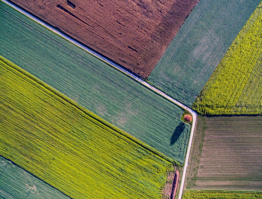 Using technology to identify crop types early in the season, without entering the field_6246ff8b56d6f.jpeg