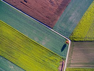 Using technology to identify crop types early in the season, without entering the field_6246ff8b56d6f.jpeg