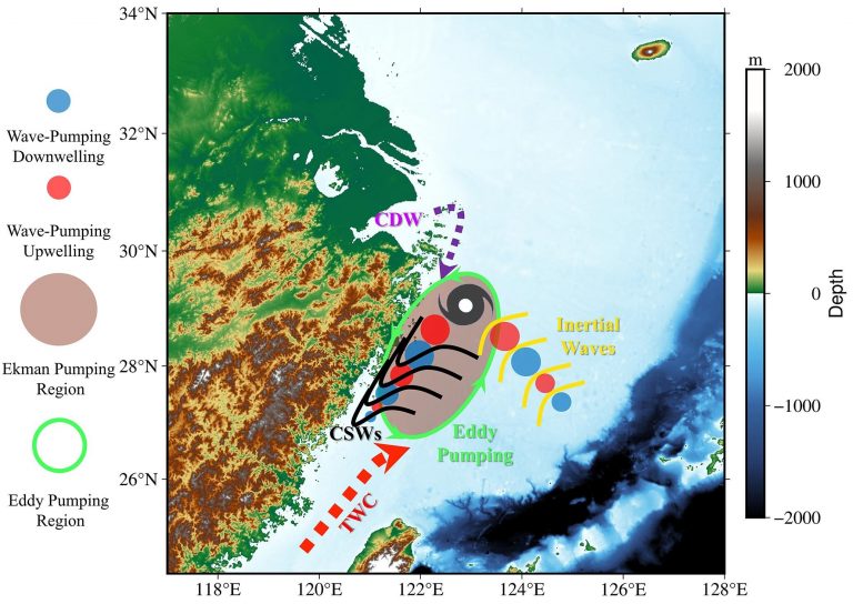 How do typhoons trigger coastal algal blooms?_6288e5124fa99.jpeg