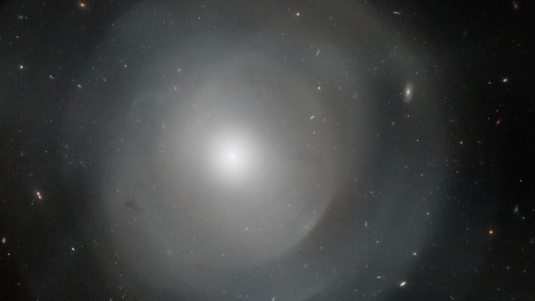 Hubble telescope spots enormous elliptical galaxy surrounded by mysterious shells_628e2b000e562.jpeg