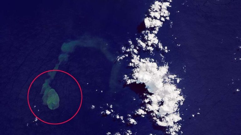 NASA images reveal ‘Sharkcano’ eruption, where sharks live near active underwater volcano_62921f7ed6f6c.jpeg