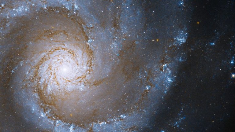 Spectacular Hubble image captures ‘grand spiral’ galaxy_62961425959db.jpeg