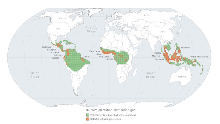 Tracking agricultural-related deforestation_627520612b93a.jpeg