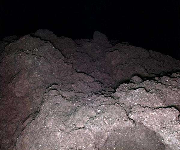 Asteroid samples contain ‘clues to origin of life’: Japan scientists_62a34314a600c.jpeg