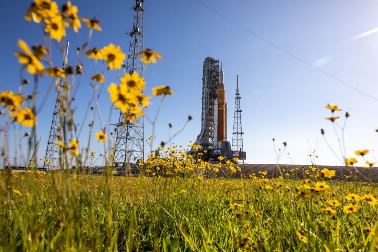 NASA’s Artemis 1 moon rocket returns to launch pad for crucial tests_629f4e9c1345a.jpeg