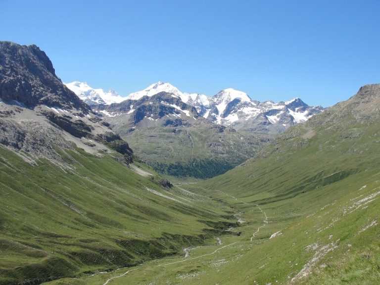 Seen from space, the snow-capped Alps are going green_629dfd112de36.jpeg