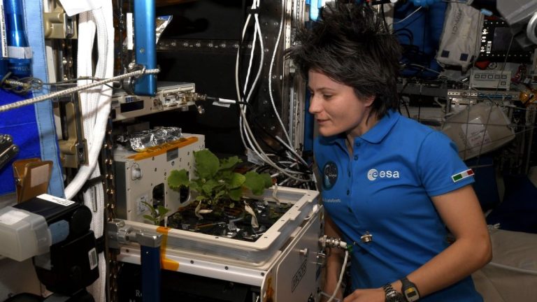 International Space Station has ‘peculiar odor,’ astronaut says_62e3dcd609da0.jpeg