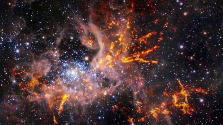 Astronomers image the star-birthing web of a cosmic Tarantula Nebula_62e7d158e871c.jpeg