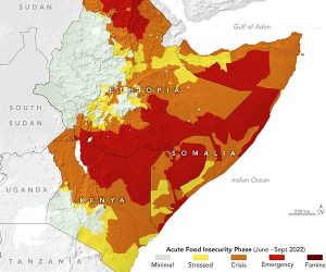 Deep concern about food security in East Africa_62ff8c6845352.jpeg