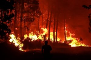 Firefighters battle blazes in southeast France_62f8f499718bf.jpeg