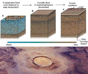 Insights into Utopia Basin revealed by Mars rover Zhurong_633599eb4b8e3.jpeg