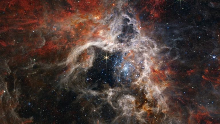 James Webb Space Telescope snaps mind-boggling image of Tarantula Nebula_6318968ca96d5.jpeg