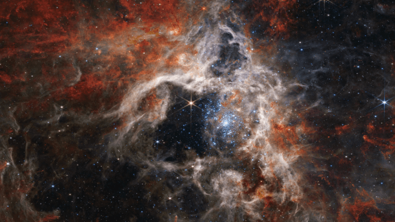 Most massive known stars captured by the powerful Webb telescope_631c8e9ec1e06.png