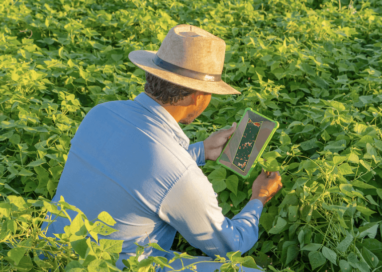 Syngenta’s commercial digital tool uses satellite images detecting Nematodes creating $150 billion in crop losses_6336e3efe4cd4.png