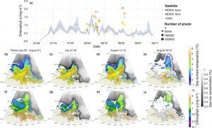 Wildfire smoke may have amplified Arctic phytoplankton bloom_6329b4aad1bf0.jpeg