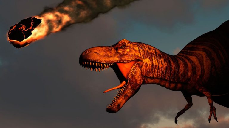 Asteroid that wiped out the dinosaurs also triggered ‘mega earthquake’_6342c67329734.jpeg