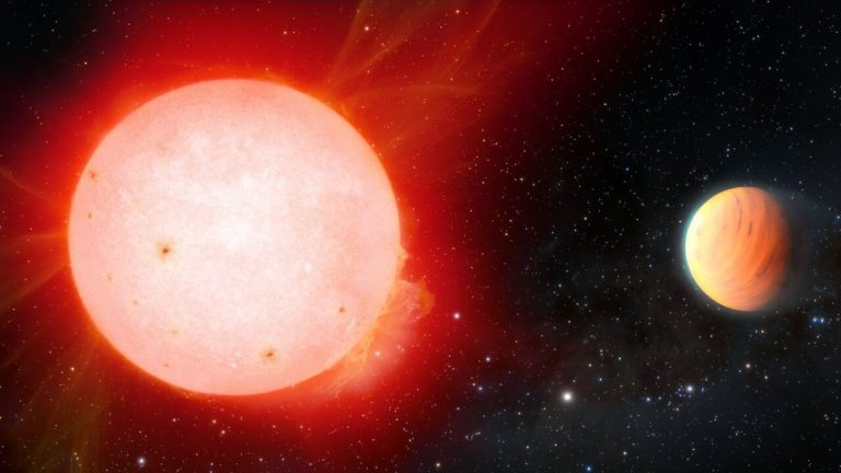 ‘Marshmallow’ world defies expectations for planets orbiting red dwarf stars_63529894417a4.jpeg