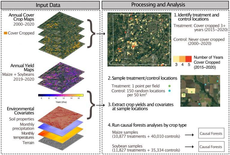 Cover crops can lower yields, according to new study_636b9f9a35495.jpeg