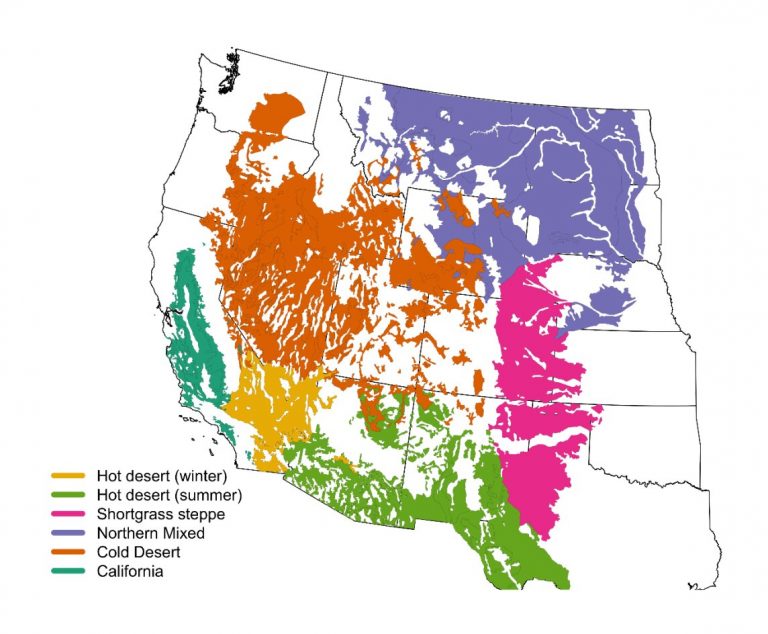 Catching up to climate change by tracking big-picture patterns_63a1ad2d5e760.jpeg