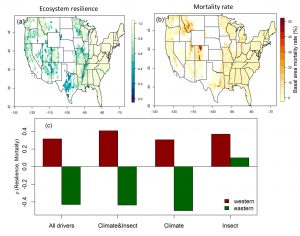 Forest resilience linked with higher mortality risk in western U.S., study finds_638f382ccbcd9.jpeg