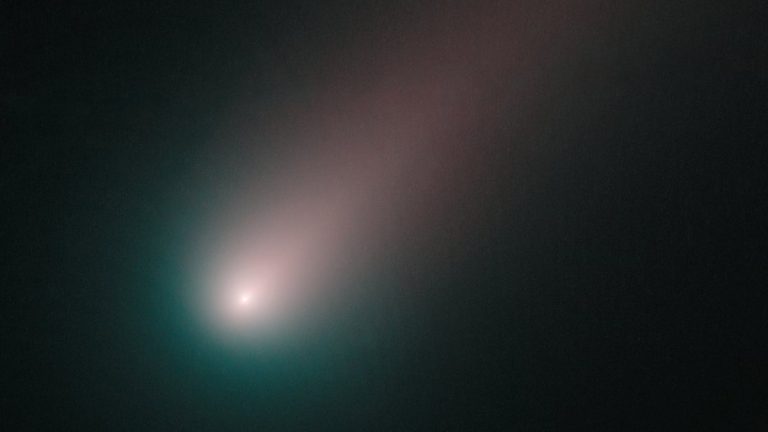 Want to see a newly discovered comet? Look up in January._63b036a9c45b1.jpeg