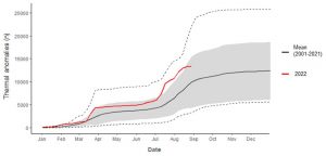 Europe’s ‘pyroregions’: Summer 2022 saw 20-year freak fires in regions that are historically immune_63b573a817d1f.jpeg