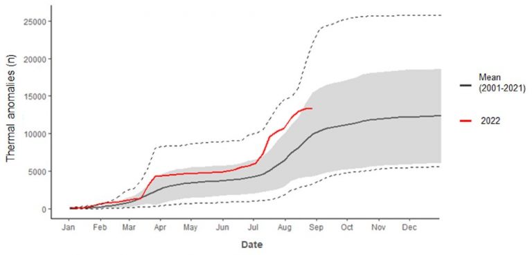 Europe’s ‘pyroregions’: Summer 2022 saw 20-year freak fires in regions that are historically immune_63b573a817d1f.jpeg