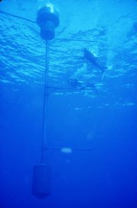 Ocean color system gets a ‘refresh,’ allowing for more precise and accurate measurements_63b5739ecddae.jpeg