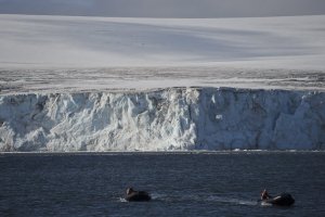 Runaway W. Antarctic ice sheet collapse not ‘inevitable’: study_63ce801e9ab4d.jpeg