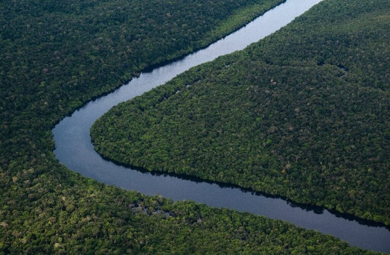 Brazil’s Amazon deforestation down 61% in January_63e78cef8d0f7.jpeg