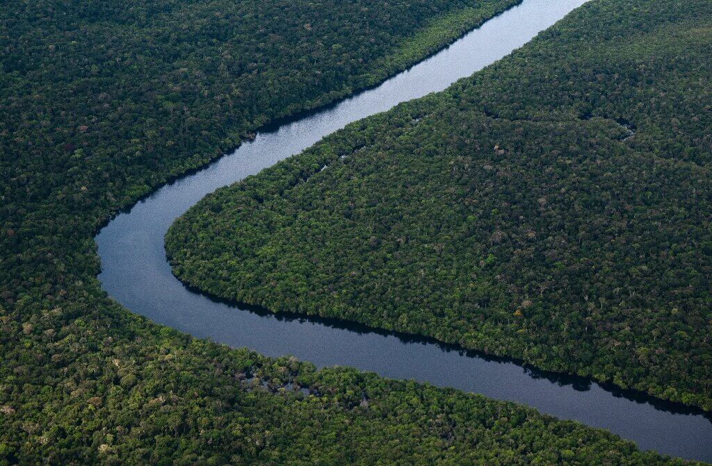 Brazil’s Amazon deforestation down 61% in January_63e78cef8d0f7.jpeg