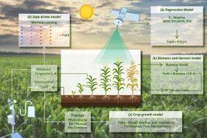 Conflicts of interest need to be avoided in publishing publicly available crop information, says study_63fa01d60dabc.jpeg