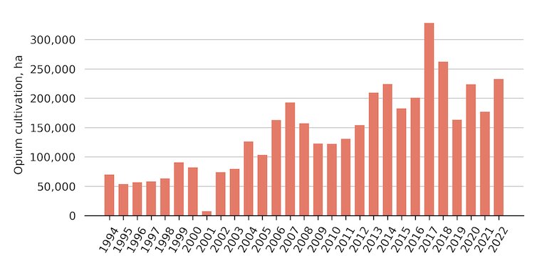 Despite the Taliban’s pledge to eradicate opium, the poppy trade still flourishes in Afghanistan_63e4e9d16fbcd.jpeg