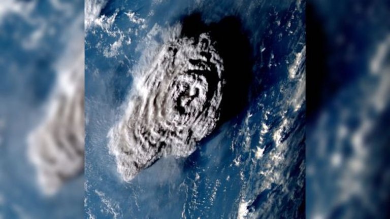 Tonga’s massive volcanic eruption wiped out unique, never-before-seen life-forms_63dfa8e04431d.jpeg