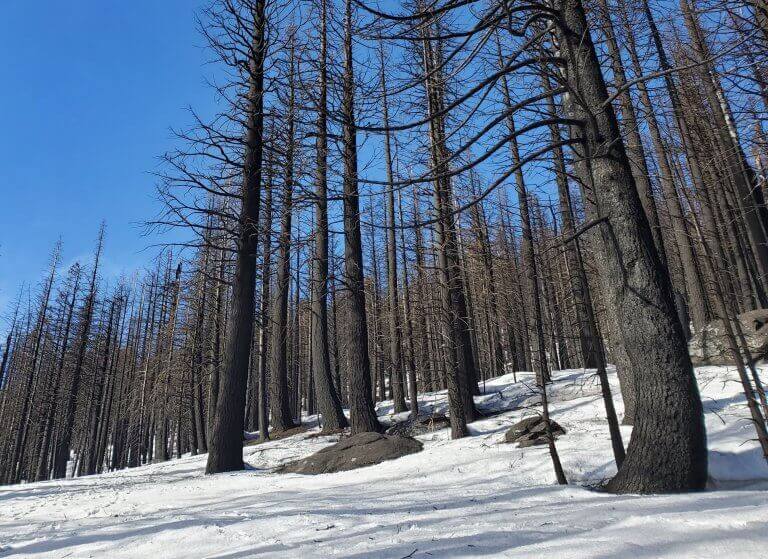 Wildfires are increasingly burning California’s snowy landscapes, colliding with winter droughts to shrink snowpack_63dbaf28da071.jpeg