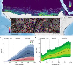 NASA captures sequestered carbon of 9.9 billion trees with deep-learning and satellite images_6405df3f7f31d.jpeg