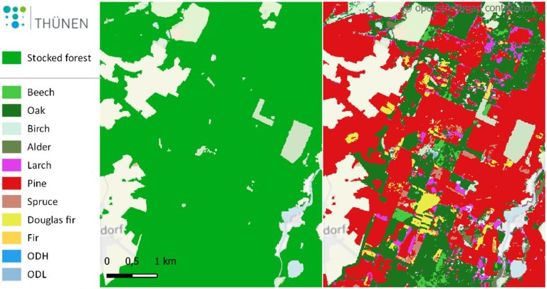 National forest maps of Germany based on current satellite imagery and terrestrial data_6419a5aaa62d8.jpeg