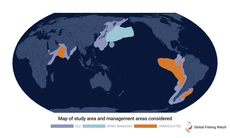 Where is your squid coming from? Most likely unregulated waters, according to a new international study_640c76c99bae7.jpeg