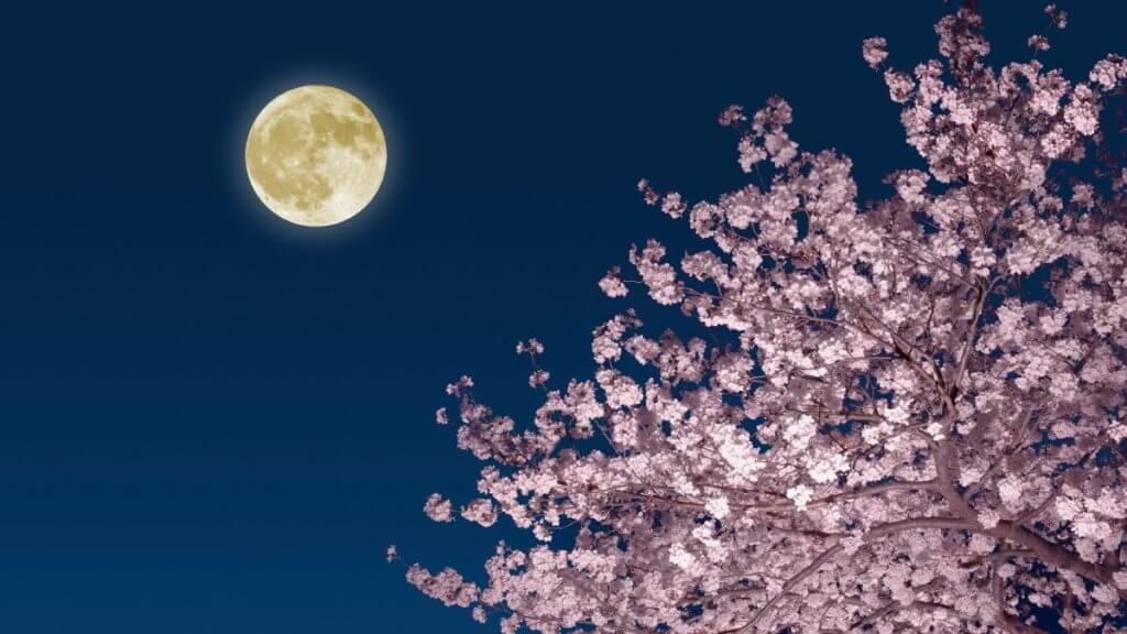 Full Pink Moon of April 2023 joins 3 planets in the night sky_64281b3b8083f.jpeg