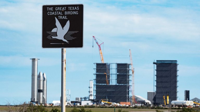 SpaceX Starship launch could harm South Texas birds, advocacy group says_643ff0cff090d.jpeg