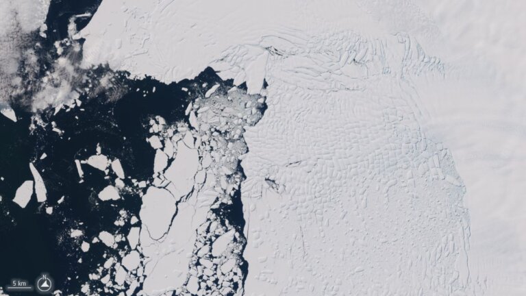 Climate change hits Antarctica hard, sparking concerns about irreversible tipping points_64945689ec0ff.jpeg