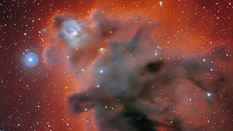 Dark nebula dominates gorgeous new view of Orion constellation (photo)_649dc38255f54.jpeg