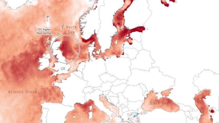 Satellites observe record-breaking marine heatwave hit North Atlantic_6495a1a3d9b76.jpeg