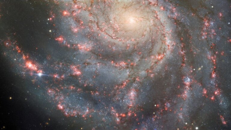 See new supernova shine bright in stunning Pinwheel Galaxy photo_648487c90c5ba.jpeg