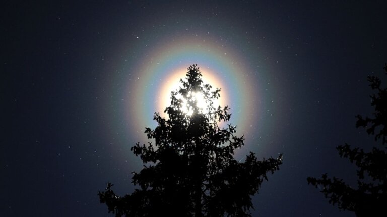 Shining rainbow rings around the sun photographed in Finland. What caused them?_648728b7922aa.jpeg